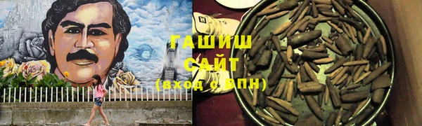 прущие грибы Новокубанск